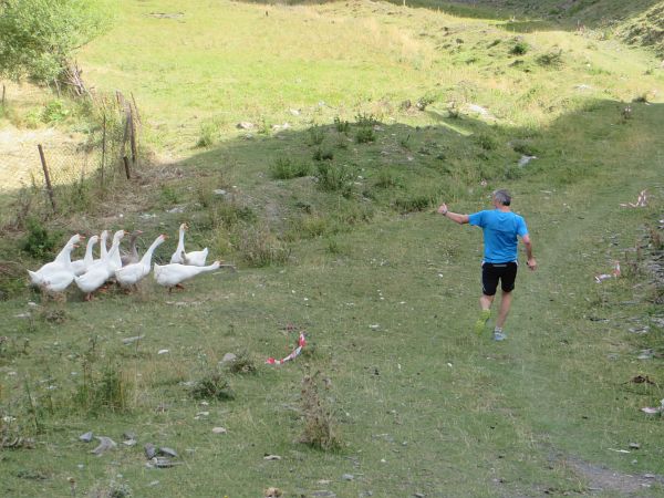 Kazbegi Marathon 2015