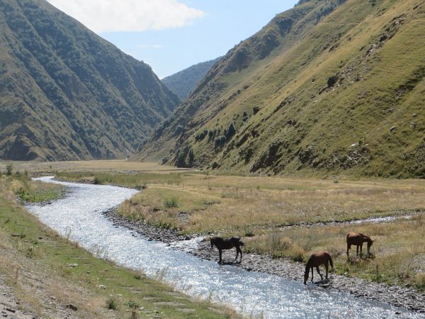 Kazbegi Marathon 2015