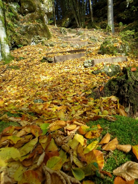 Joggingtour von Kirchenbirgik ins Klumpertal