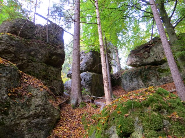 Joggingtour von Kirchenbirgik ins Klumpertal