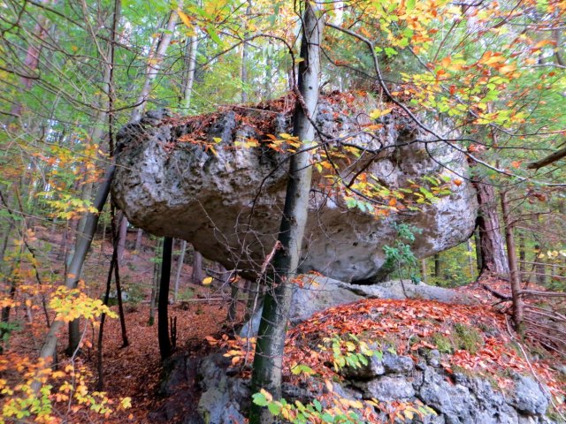 Joggingtour von Kirchenbirgik ins Klumpertal