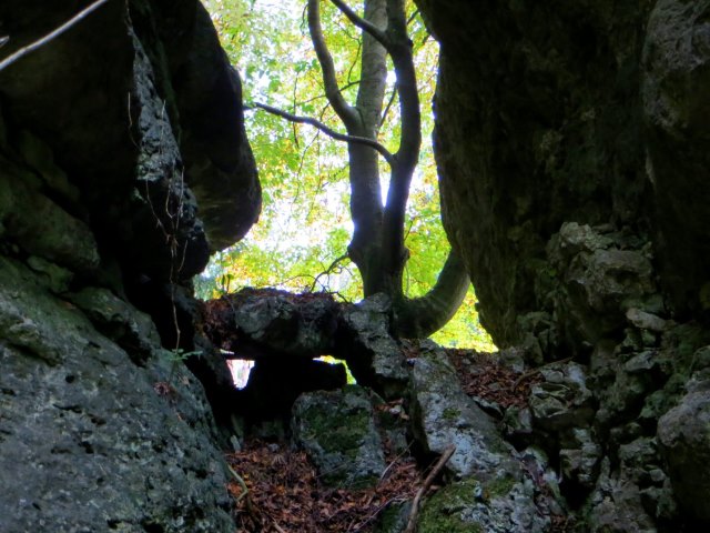 Joggingtour von Kirchenbirgik ins Klumpertal