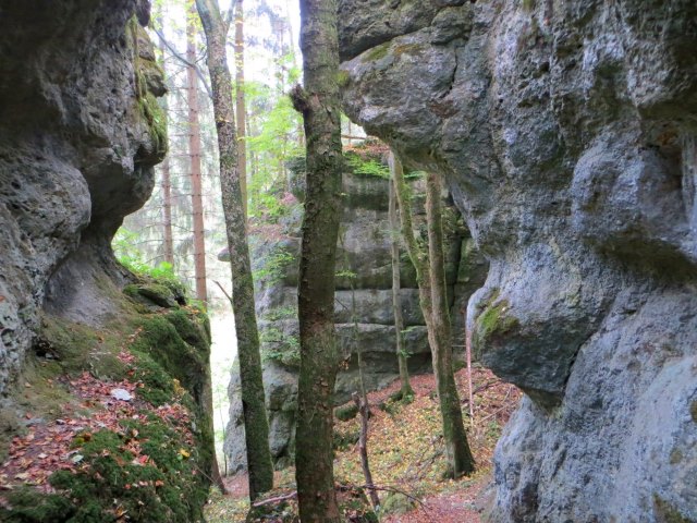 Joggingtour von Kirchenbirgik ins Klumpertal