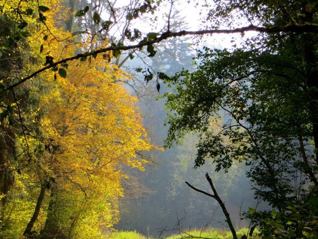 Joggingtour von Kirchenbirgik ins Klumpertal