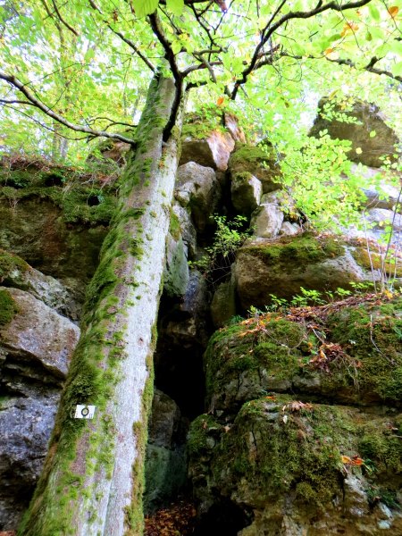 Joggingtour von Kirchenbirgik ins Klumpertal