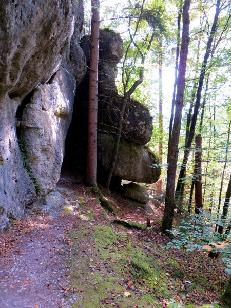 Joggingtour von Kirchenbirgik ins Klumpertal