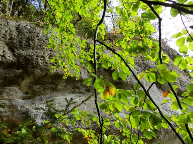 Joggingtour von Kirchenbirgik ins Klumpertal