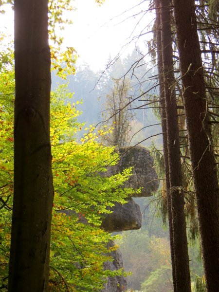 Joggingtour von Kirchenbirgik ins Klumpertal