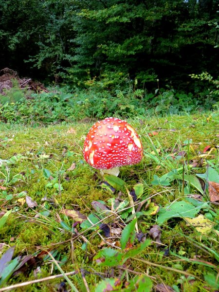 Joggingtouren bei Das Kranzbach vom 21.09 - 24.09.2015