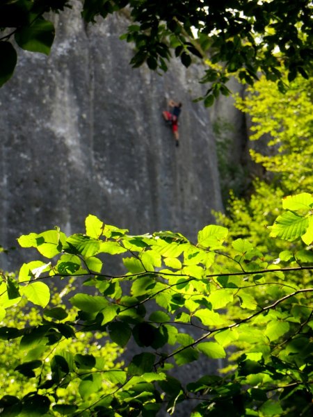 BOL5TL3 Joggingtour an Laaber, Donau und Altmhl Tag 2