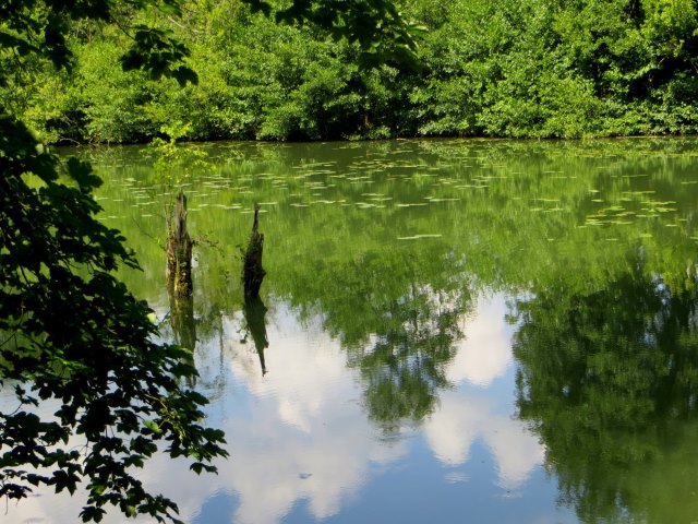 BOL5TL3 Joggingtour an Laaber, Donau und Altmhl Tag 2