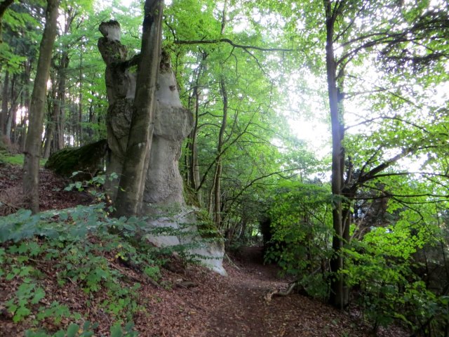 BOL5TL3 Joggingtour an Laaber, Donau und Altmhl Tag 2