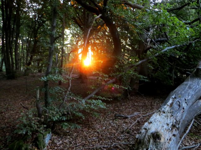 BOL5TL3 Joggingtour an Laaber, Donau und Altmhl Tag 3