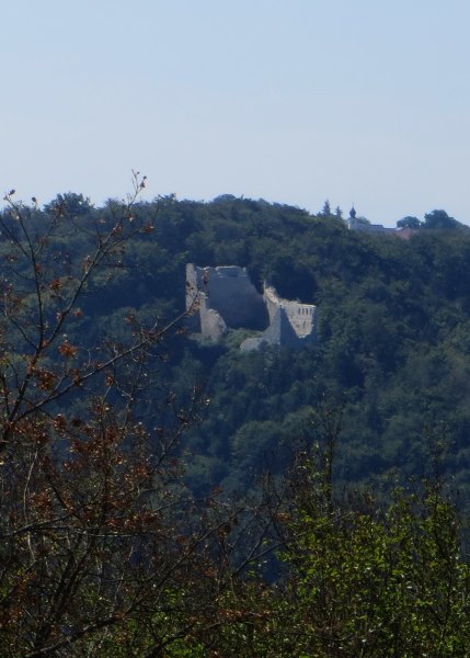 BOL5TL3 Joggingtour an Laaber, Donau und Altmhl Tag 4