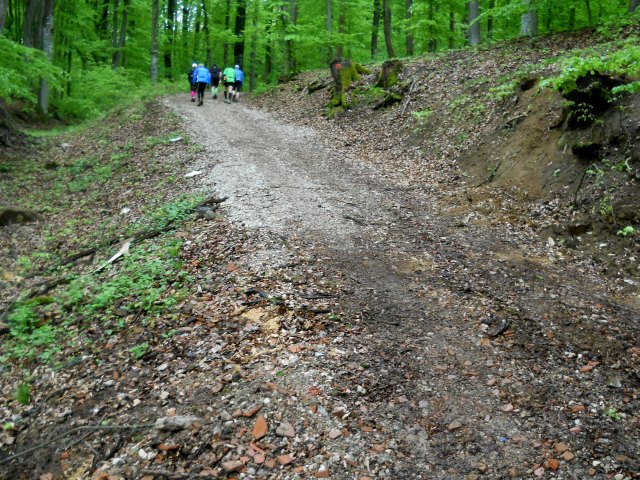 Altmhltrail 2015