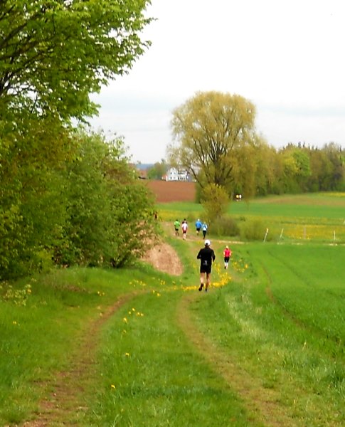 Altmhltrail 2015