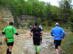 Altmhltrail 2015