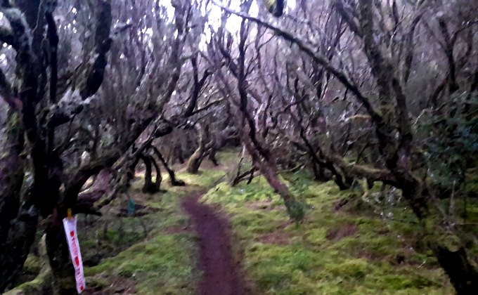 Madeira Island Ultratrail 2015