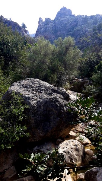 Ultra Mallorca Serra de Tramuntana  2015