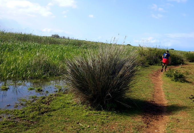 Trail Menorca Cami de Cavalls 2015