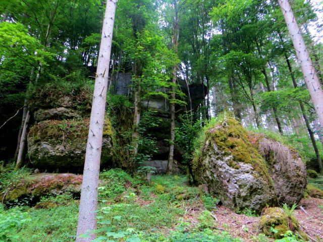 Biwak-Traillauf vom 11.6. - 12.6.15 von Neuhaus nach Forchheim