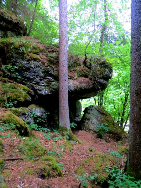 Biwak-Traillauf vom 11.6. - 12.6.15 von Neuhaus nach Forchheim