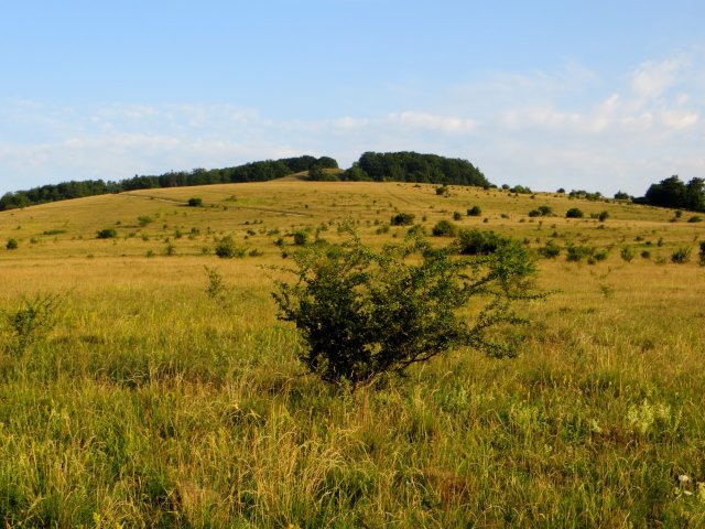 Trainingslauf 2 fr Bezirksorientierungslauf 5 - 120 km langer Biwaklauf durch die Rhn vom 10. - 12.07.2015