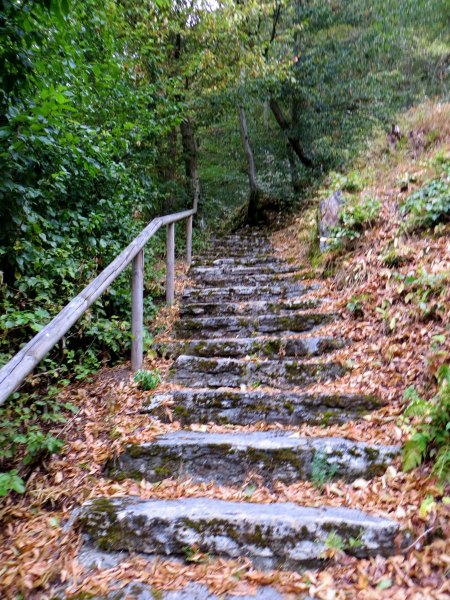 Joggingtour durchs Steinachtal und Frankenwald am 15.08.2015