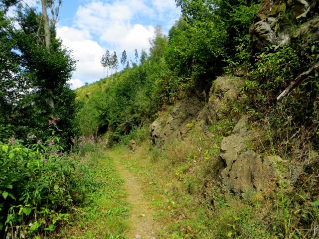 Joggingtour durchs Steinachtal und Frankenwald am 15.08.2015