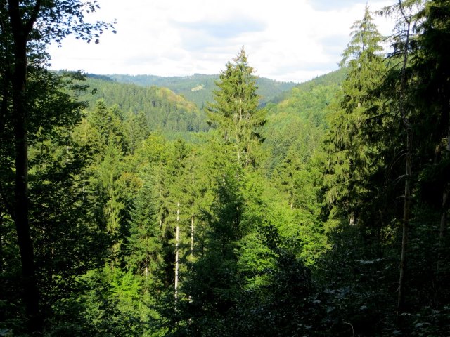 Joggingtour durchs Steinachtal und Frankenwald am 15.08.2015