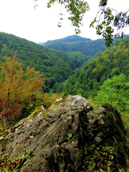 Joggingtour durchs Steinachtal und Frankenwald am 15.08.2015