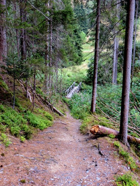 Joggingtour durchs Steinachtal und Frankenwald am 15.08.2015