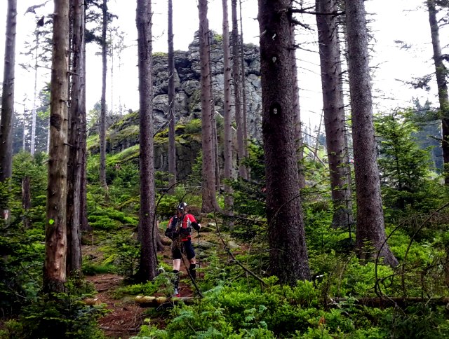 Der Knig im Bayerwald beim Ultratrail Lamer Winkel 2015