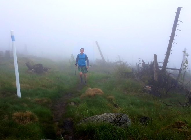 Der Knig im Bayerwald beim Ultratrail Lamer Winkel 2015