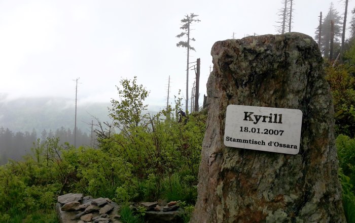 Der Knig im Bayerwald beim Ultratrail Lamer Winkel 2015