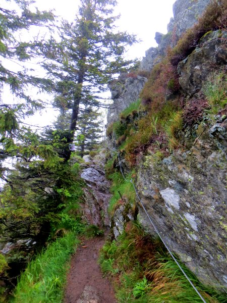 Der Knig im Bayerwald beim Ultratrail Lamer Winkel 2015