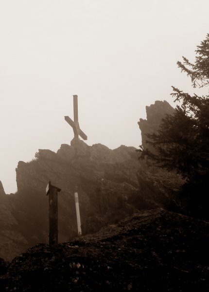 Der Knig im Bayerwald beim Ultratrail Lamer Winkel 2015