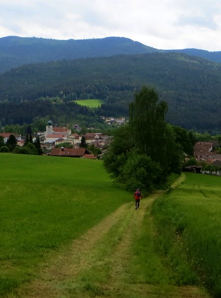 Der Knig im Bayerwald beim Ultratrail Lamer Winkel 2015