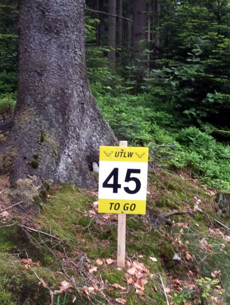 Der Knig im Bayerwald beim Ultratrail Lamer Winkel 2015