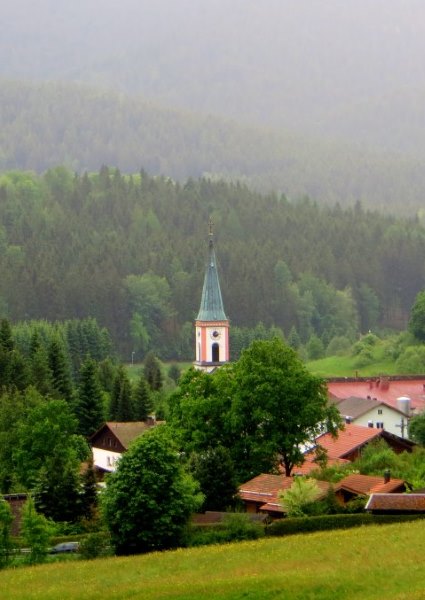 Osser Riese beim Ultratrail Lamer Winkel 2015