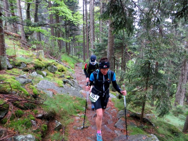 Osser Riese beim Ultratrail Lamer Winkel 2015