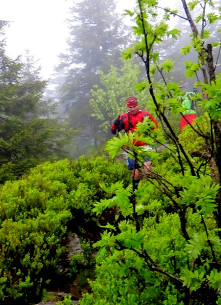 Osser Riese beim Ultratrail Lamer Winkel 2015