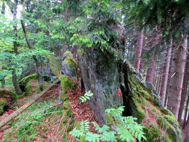 Osser Riese beim Ultratrail Lamer Winkel 2015