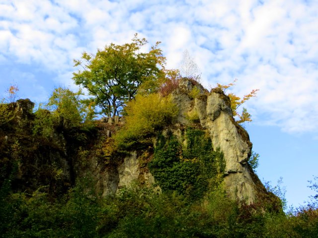 Wiesenttaltrail Oktober 2015