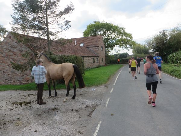 Yorkshire Marathon 2015