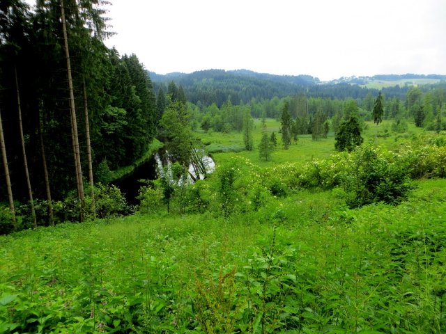 BOL6 - Niederbayerischer Orientierungslauf vom 08.06. - 11.06.2016