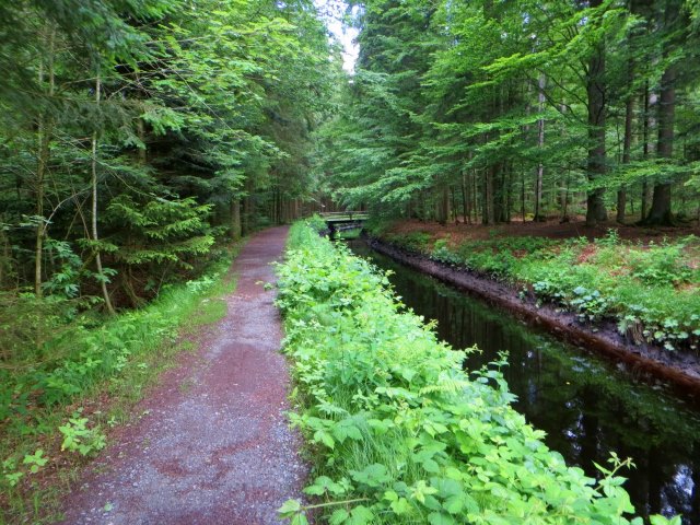 BOL6 - Niederbayerischer Orientierungslauf vom 08.06. - 11.06.2016