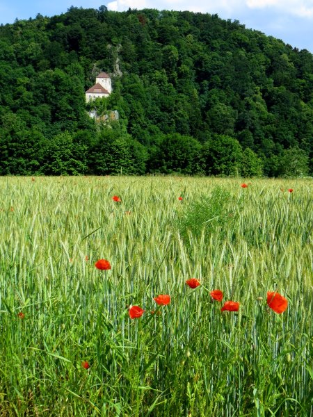 BOL6 - Niederbayerischer Orientierungslauf vom 08.06. - 11.06.2016