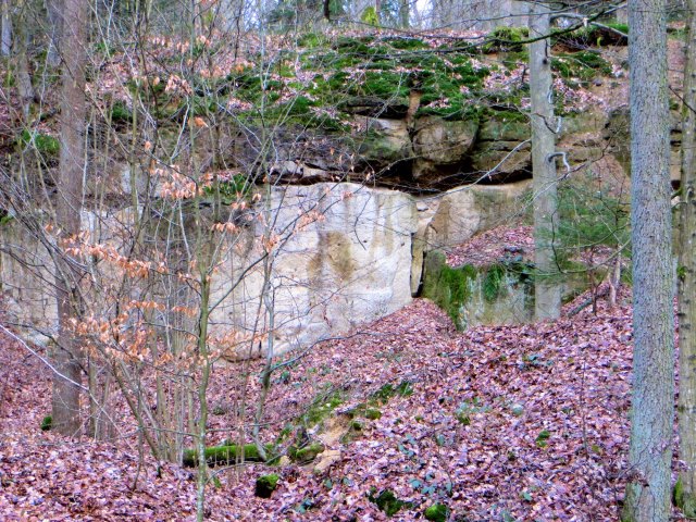 BuOLTL1 Joggingtour von Ebermannstadt nach Forchheim am 12.02.2016