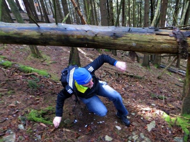 BuOLTL1 Joggingtour von Ebermannstadt nach Forchheim am 12.02.2016